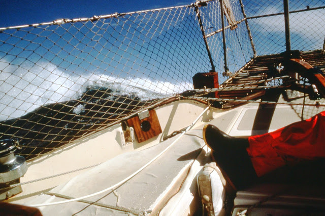 B240AA35-657C-446F-961B-F7DFEB7FF58D